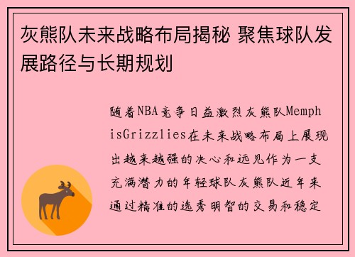 灰熊队未来战略布局揭秘 聚焦球队发展路径与长期规划